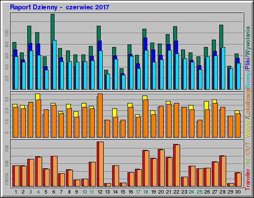 Raport Dzienny -  czerwiec 2017