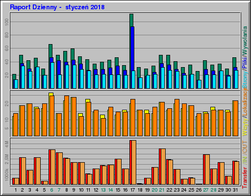 Raport Dzienny -  styczeń 2018