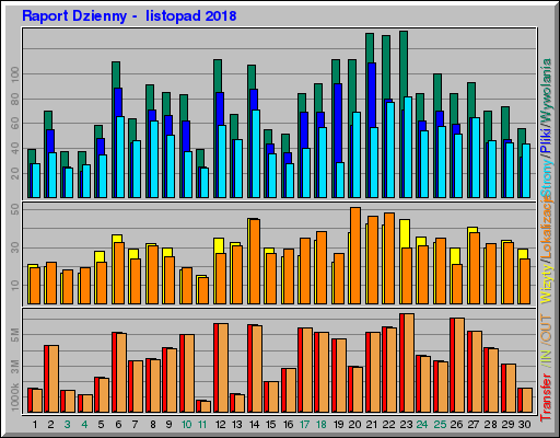 Raport Dzienny -  listopad 2018