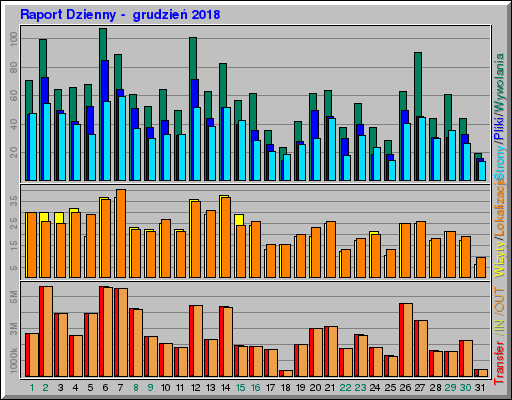 Raport Dzienny -  grudzień 2018