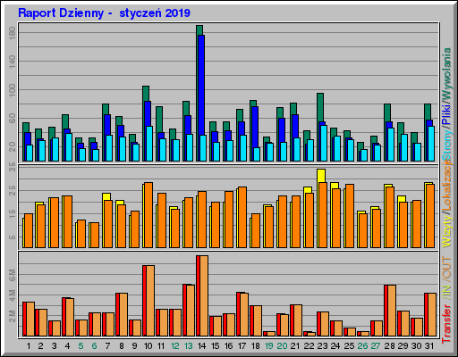 Raport Dzienny -  styczeń 2019