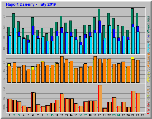 Raport Dzienny -  luty 2019