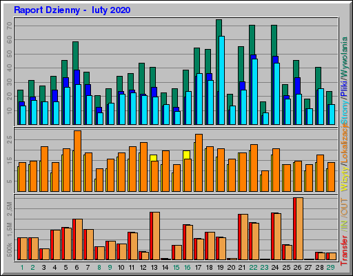 Raport Dzienny -  luty 2020
