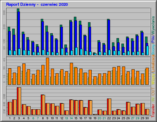 Raport Dzienny -  czerwiec 2020