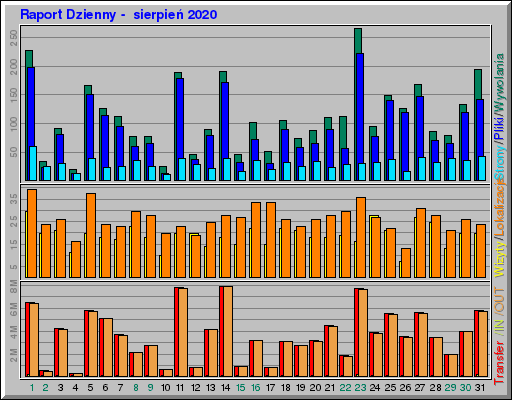 Raport Dzienny -  sierpień 2020