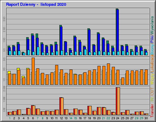 Raport Dzienny -  listopad 2020