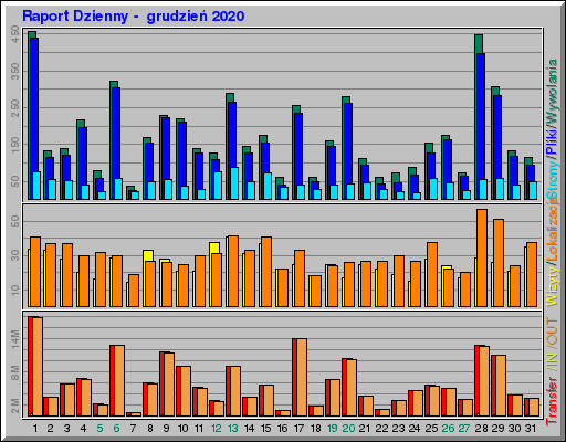 Raport Dzienny -  grudzień 2020