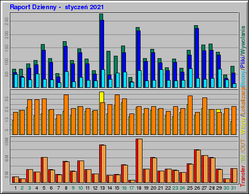 Raport Dzienny -  styczeń 2021