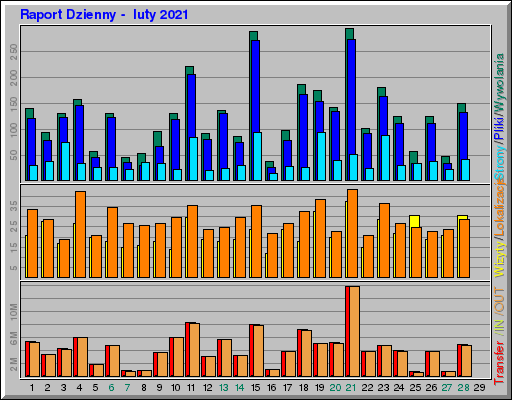 Raport Dzienny -  luty 2021