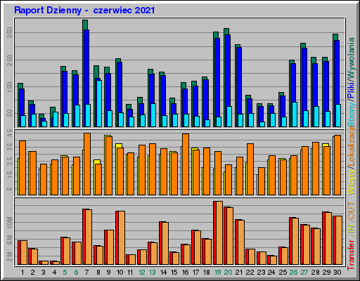 Raport Dzienny -  czerwiec 2021
