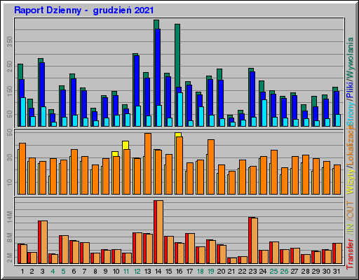 Raport Dzienny -  grudzień 2021