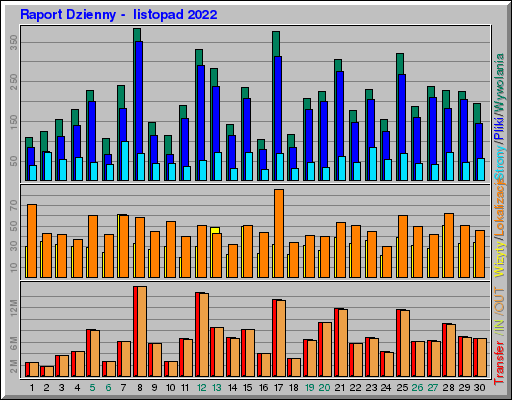 Raport Dzienny -  listopad 2022