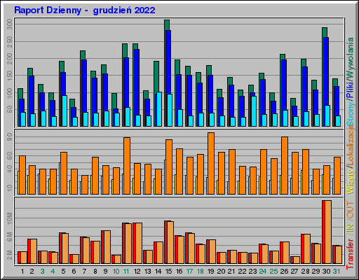 Raport Dzienny -  grudzień 2022