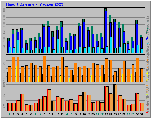 Raport Dzienny -  styczeń 2023