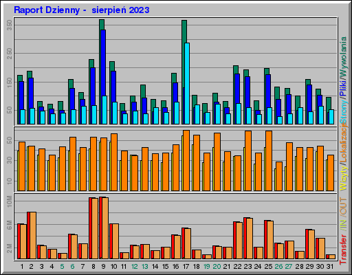 Raport Dzienny -  sierpień 2023