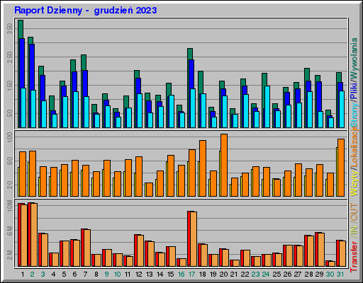 Raport Dzienny -  grudzień 2023