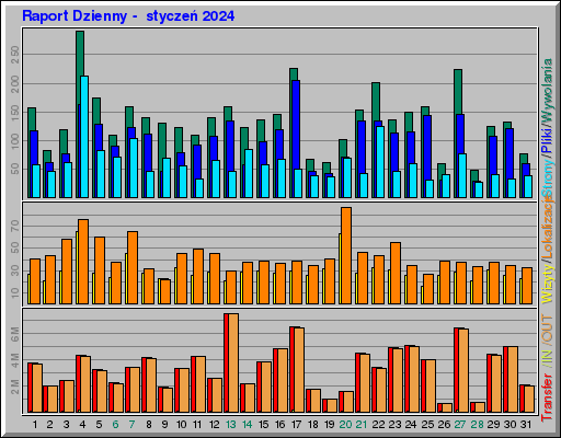 Raport Dzienny -  styczeń 2024