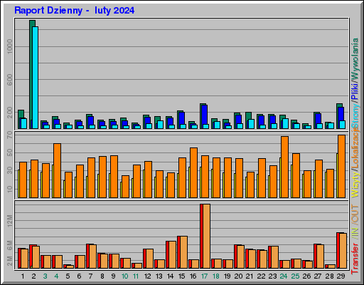 Raport Dzienny -  luty 2024