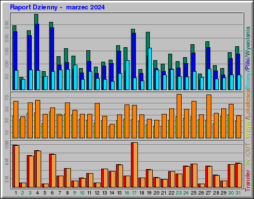 Raport Dzienny -  marzec 2024