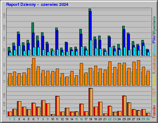 Raport Dzienny -  czerwiec 2024