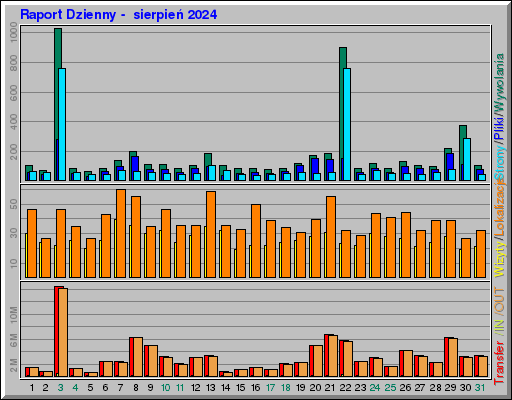 Raport Dzienny -  sierpień 2024
