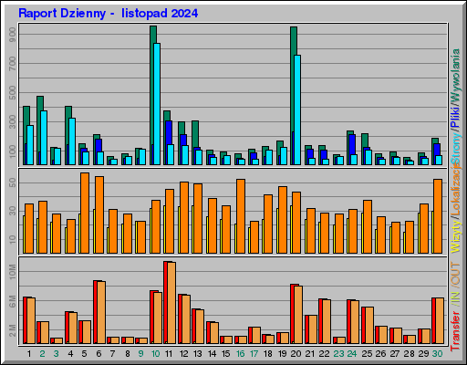 Raport Dzienny -  listopad 2024