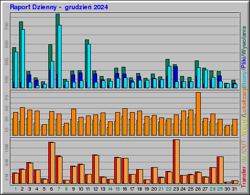 Raport Dzienny - grudzieĹ 2024 Raport Dzienny - grudzieĹ 2024