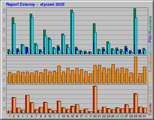 Raport Dzienny -  styczeń 2025