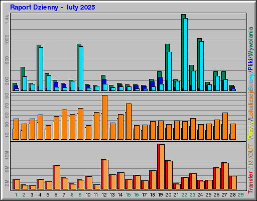 Raport Dzienny - luty 2025 Raport Dzienny - luty 2025