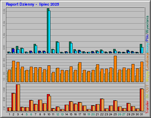 Raport Dzienny -  lipiec 2025