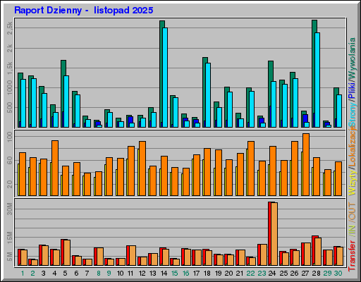 Raport Dzienny -  listopad 2025