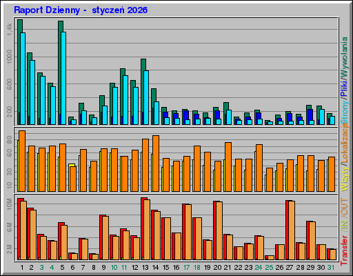 Raport Dzienny -  styczeń 2026