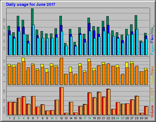 Raport Dzienny -  czerwiec 2017
