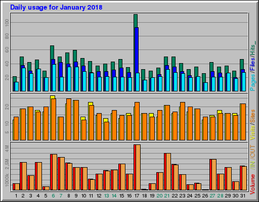 Raport Dzienny -  styczeń 2018