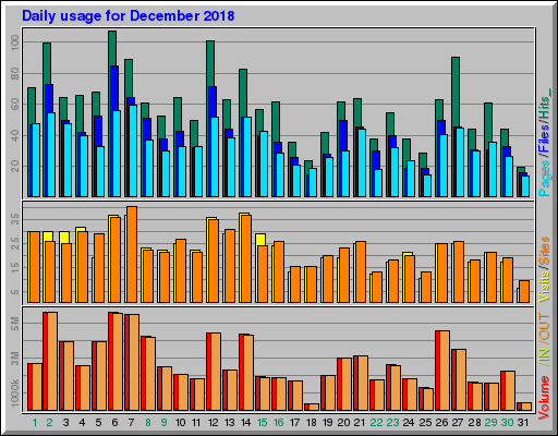 Raport Dzienny -  grudzień 2018