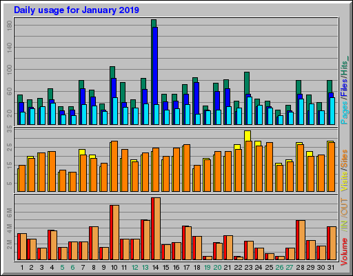 Raport Dzienny -  styczeń 2019