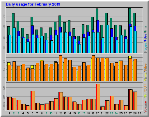 Raport Dzienny -  luty 2019