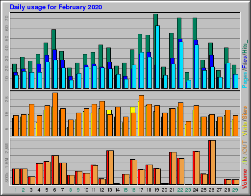 Raport Dzienny - luty 2020 Raport Dzienny - luty 2020