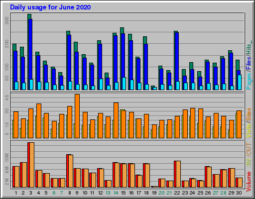 Raport Dzienny -  czerwiec 2020