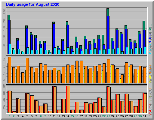 Raport Dzienny -  sierpień 2020