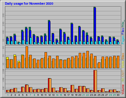 Raport Dzienny -  listopad 2020