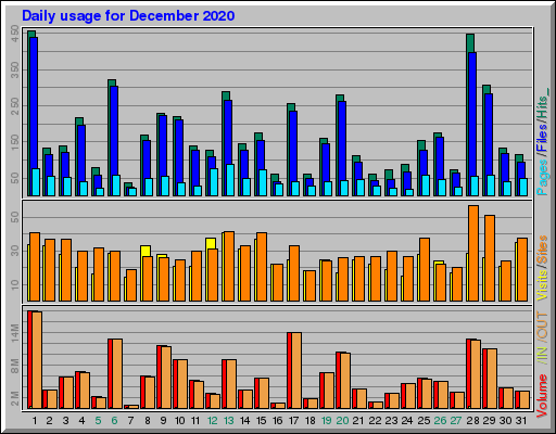 Raport Dzienny -  grudzień 2020