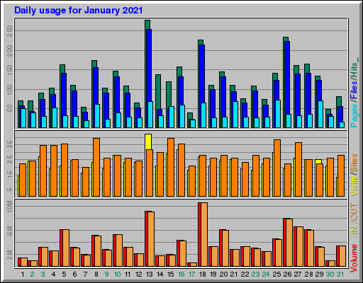 Raport Dzienny -  styczeń 2021
