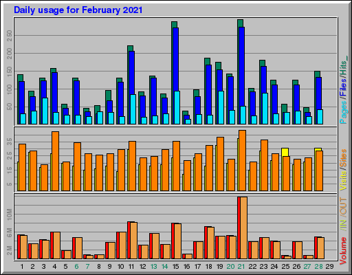 Raport Dzienny -  luty 2021
