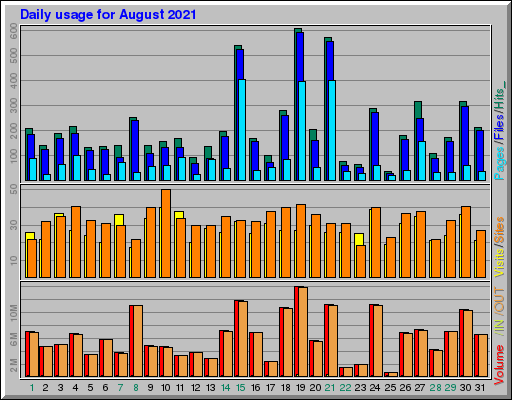 Raport Dzienny -  sierpień 2021