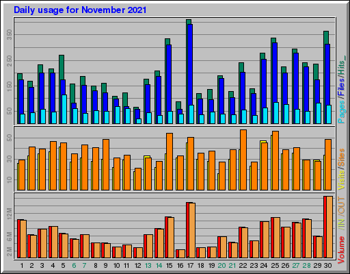 Raport Dzienny -  listopad 2021