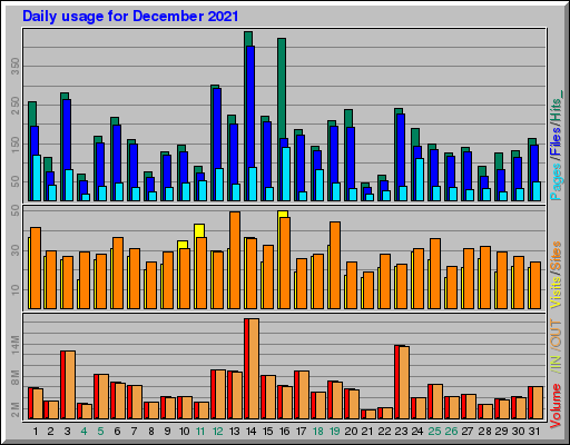 Raport Dzienny -  grudzień 2021