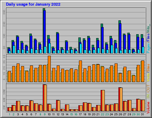 Raport Dzienny -  styczeń 2022