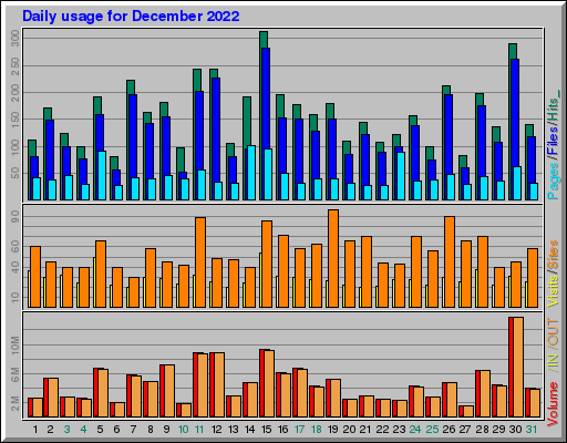 Raport Dzienny -  grudzień 2022