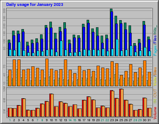 Raport Dzienny -  styczeń 2023